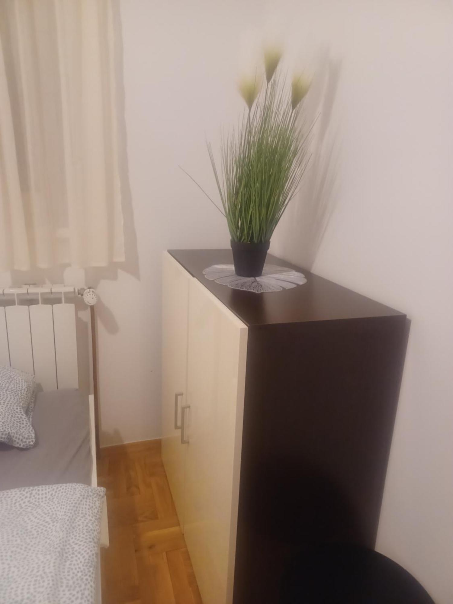 וואראז'דין Apartman Jagoda מראה חיצוני תמונה